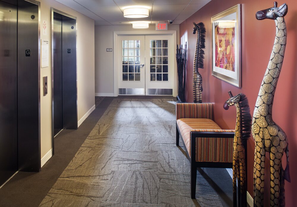 Elevator lobby and hallway with bench seating and artwork